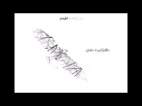 Prolet - Jeder Vogel fällt feat. FEEL.ikx