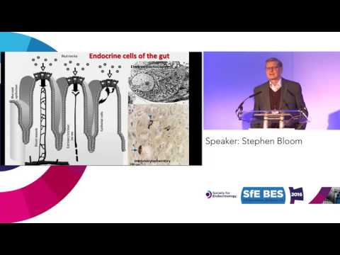 Plenary Lecture 5: Society for Endocrinology Jubilee Medal Lecture