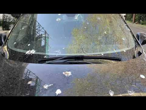 Bird Poop Decal Prank Call