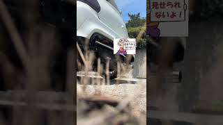 スイフトスポーツ　センター出し50φマフラーはこんな音！　#zc33s #スイフトスポーツ