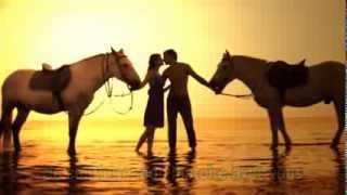 Celine Dion - Je Ne Vous Oublie Pas