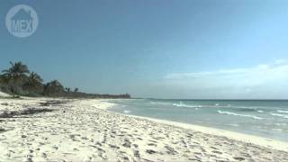 preview picture of video 'Sian Kaan, Tulum - Natural, Virgin Beaches as Far as the Eye Can See(B). Top Beaches in Riviera Maya'