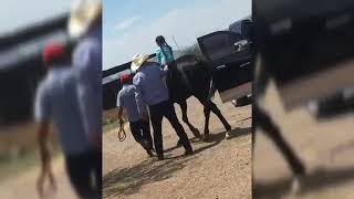 El sultán grupo laberinto