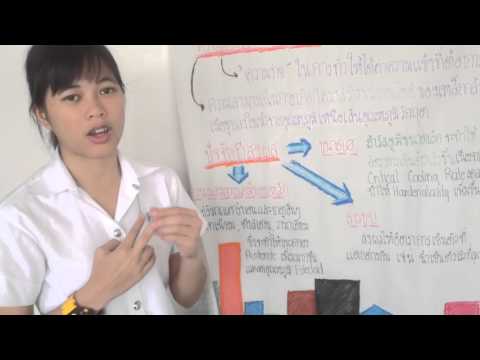อาหารจากแรงชาย เพิ่มเป็นเพื่อนสนิทกับสมาชิกหนุ่มสาว
