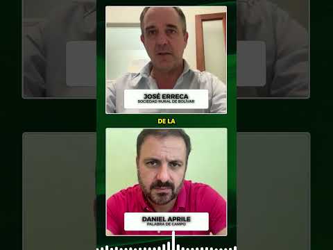 🌧️ Inundaciones en Buenos Aires: el campo, otra vez contra el agua