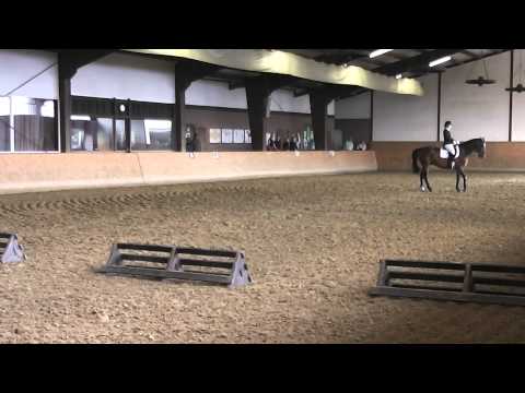 2014 Reitabzeichen Klasse 3 L-Dressur Trense Hof Schulze Niehues
