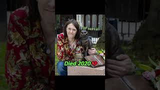 Legendary Cats Who Went Viral Then & Now ❤️🥺