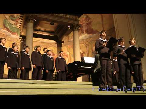 Wiener Sängerknaben (Nov. 29, 2014) Michael Haydn,  Anima nostra