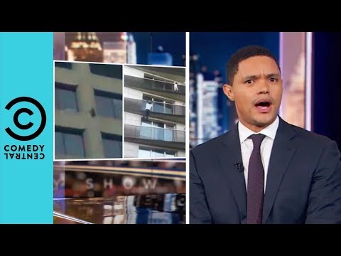 Daredevil Racoon Scales Skyscraper | The Daily Show With Trevor Noah