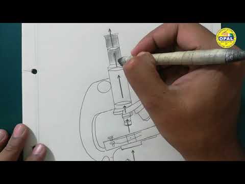 download lagu mp3 mp4 Tutorial Gambar Mikroskop, download lagu Tutorial Gambar Mikroskop gratis, unduh video klip Tutorial Gambar Mikroskop