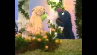 Sesame Street - &quot;Still We Like Each Other&quot;