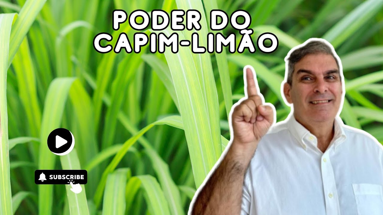 Capim-Limão: Conheça Benefícios Poderosos Para Sua Saúde e Bem-Estar