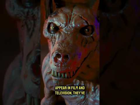 The Most ACCURATE Anubis Depiction I’ve Seen!