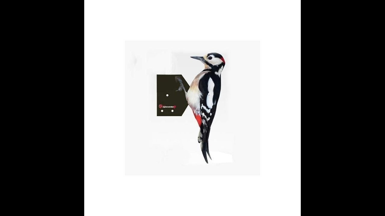 Flaggspett til territorium-kontroll