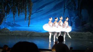 preview picture of video 'top ballet Swan Lake M80'