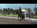 459D Lindsay Wagner On Jenson SR Novice Dressage Rebecca Farm July 2019