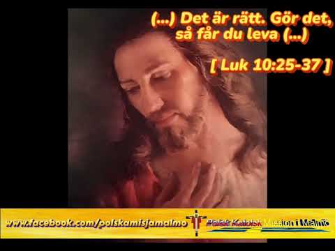 Evangeliet, den 13 juli 2025.