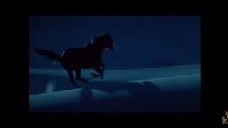 Rata Blanca caballo salvaje