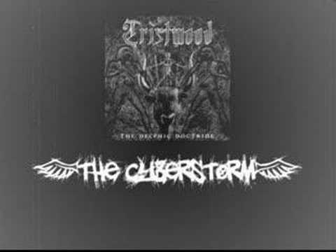 Tristwood - The Cyberstorm