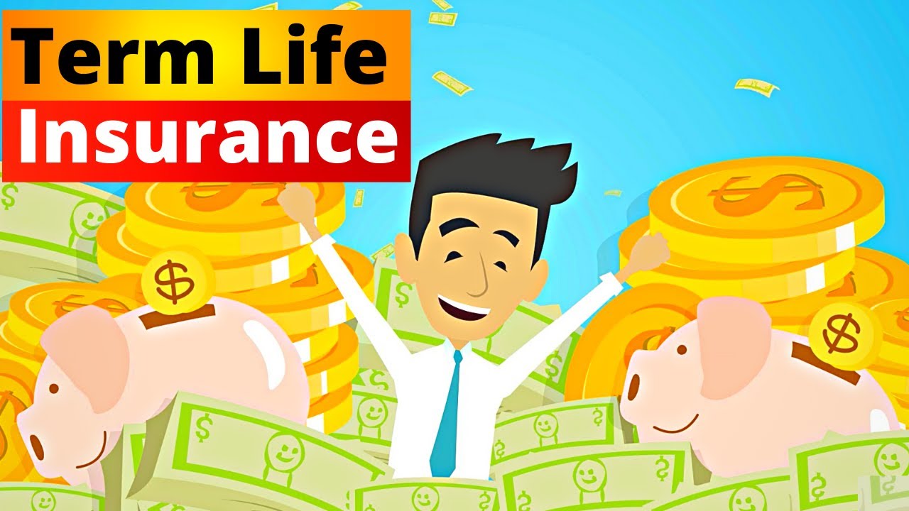 What Is Term Life Insurance