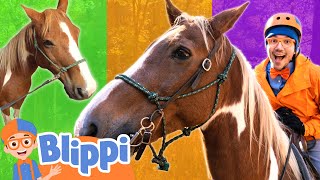 Blippi's Horse Race on the Farm! | Learn About Horses for Kids | Blippi - Learn Colors and Science