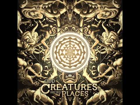 Varazslo - Over (2021)