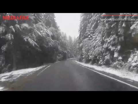 Mediafax 04 Octombrie - Ninsoare în Bucovina