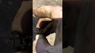 Mopar differential tear down