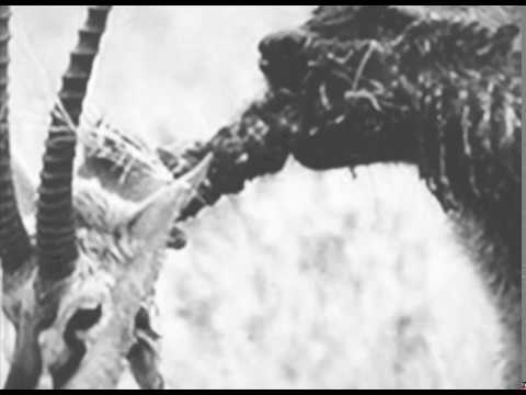 Video thumbnail for DELICIOUS APE