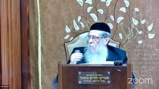 הרה"ג הרב וועכטר שליט"א ט' אדר ב (הרב אברהם מנחם מענדל וכטר) - התמונה מוצגת ישירות מתוך אתר האינטרנט יוטיוב. זכויות היוצרים בתמונה שייכות ליוצרה. קישור קרדיט למקור התוכן נמצא בתוך דף הסרטון