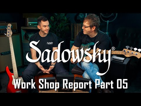 Sadowsky Work Shop Report Part 05 - General Questions