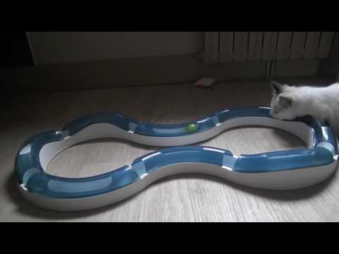 download lagu mp3 mp4 Ragdoll Disponible, download lagu Ragdoll Disponible gratis, unduh video klip Ragdoll Disponible
