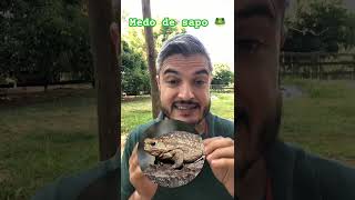 SAPO É INOFENSIVO PARA OS CÃES