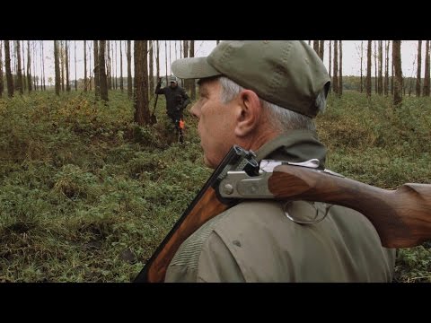 NL Jaagt - Vossenbouwjacht in Drenthe deel 1