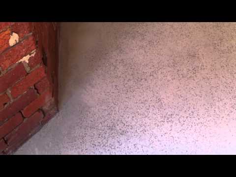 Goumas Smash Repairs walk through after grinding and before coating