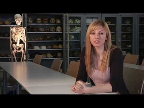 CampusTV Mainz 198 - Quickcheck Anthropologie