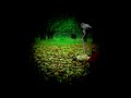 Lambchop | Listen | Shift blend HD