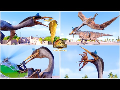 Quetzalcoatlus All Perfect Animations 🦖 Jurassic World Evolution 2 Dominion Dinosaur DLC Pack