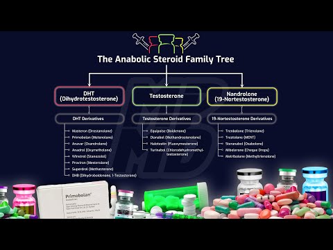 The Most Hair Safe Steroids