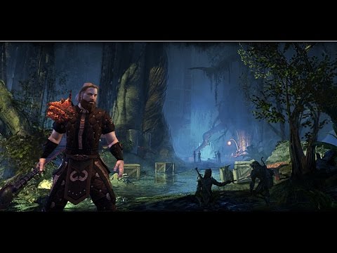 Elden Hollow Veteran Mode Dungeon Diving DPS PoV