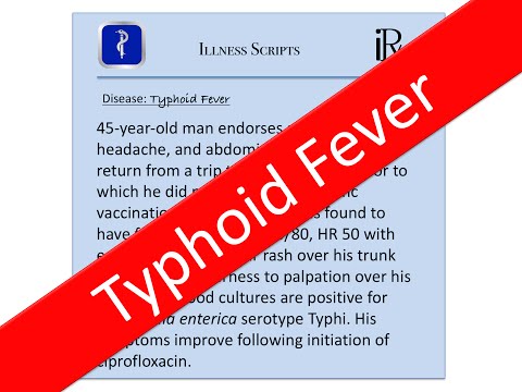 Typhoid Fever Illness Script - USMLE, Medicine Board Review