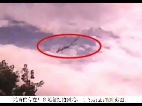 龙存在的证据