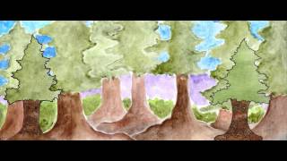 The Lost Woods Debut EP Trailer