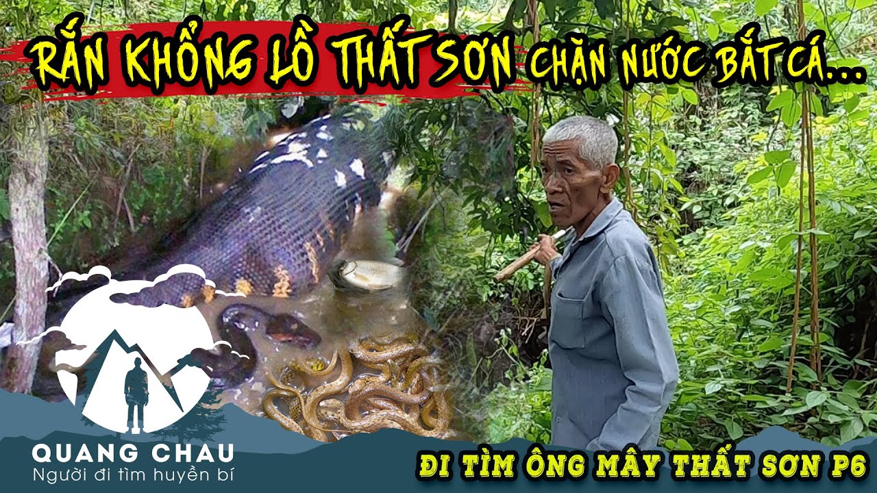 Tìm đến nơi Rắn Hổ Mây Khổng Lồ Chặn Nước Bắt Cá cho con | Hang AnCaBay P2