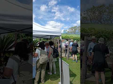 Llegamos a Piñera, segunda edición del Camino a Tiatucura