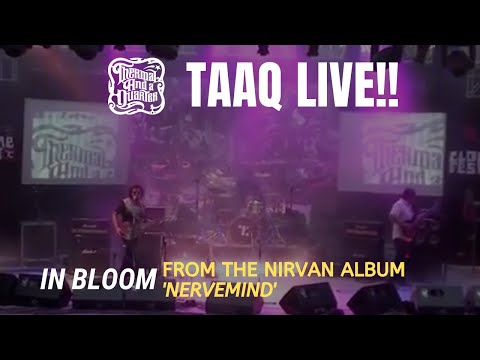 Thermal And A Quarter: In Bloom (Nirvana) - Live at the Clone Fest, Delhi