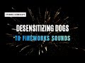 Overcome Triggers Desensitizing Dogs To Fireworks