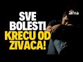 SVE BOLESTI POČINJU OD ŽIVACA: POSTOJI SAMO 1 STVAR O KOJOJ TREBA BRINUTI! / ATMA