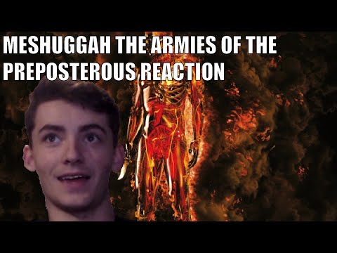 Metal Guitarist Reacts to Armies of the Preposterous by Meshuggah