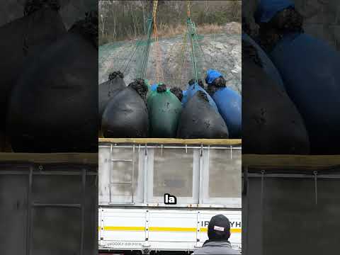 Cuando veas como se prepara este plato no querrás volver a comerlo.